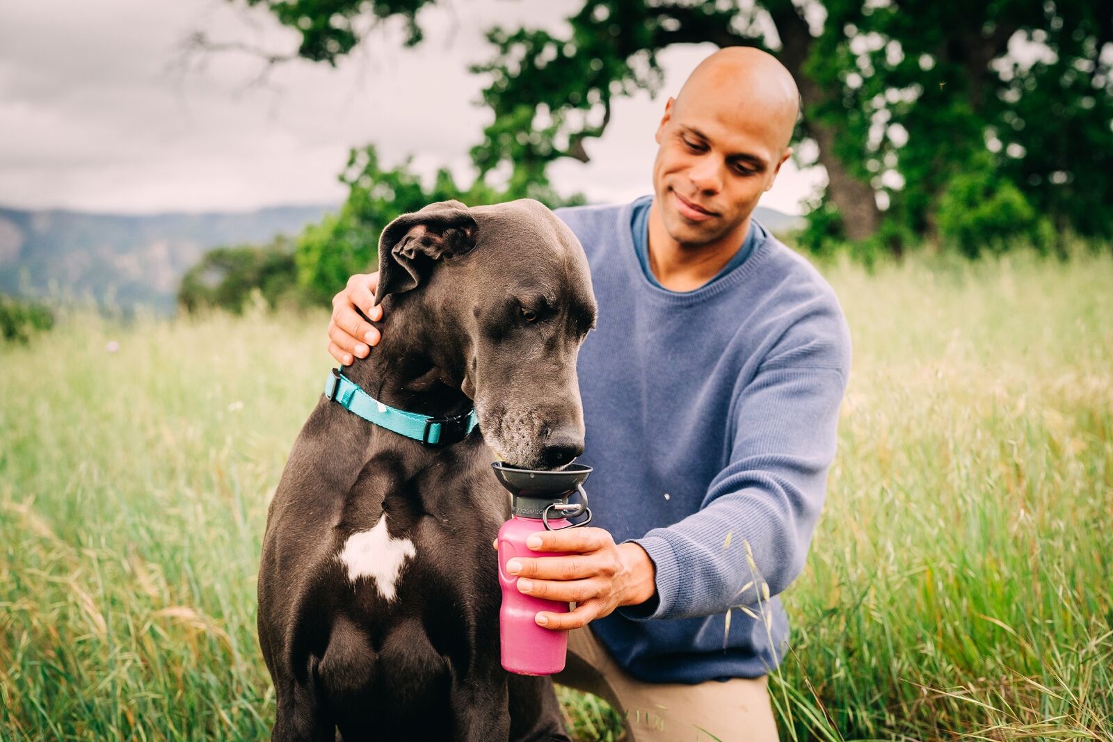 The 5 Pet Travel Products That PPN’s Editors Love This Week